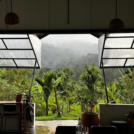 Bendheka - Cliff Front Cottages Coorg Gonikoppal Εξωτερικό φωτογραφία