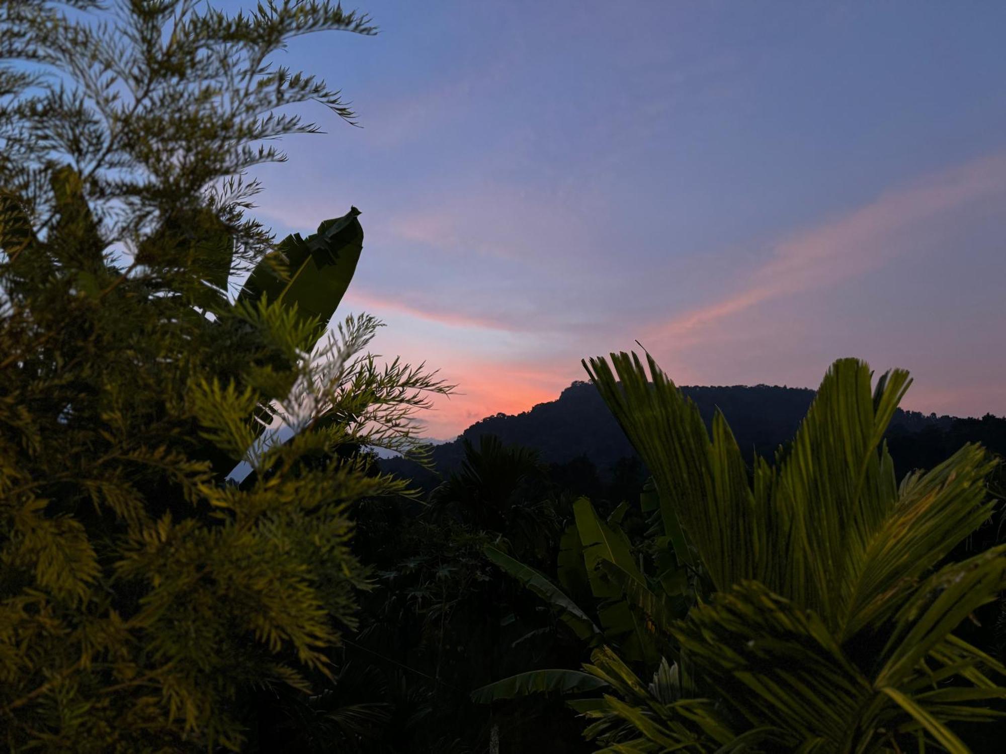 Bendheka - Cliff Front Cottages Coorg Gonikoppal Εξωτερικό φωτογραφία